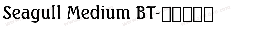 Seagull Medium BT字体转换